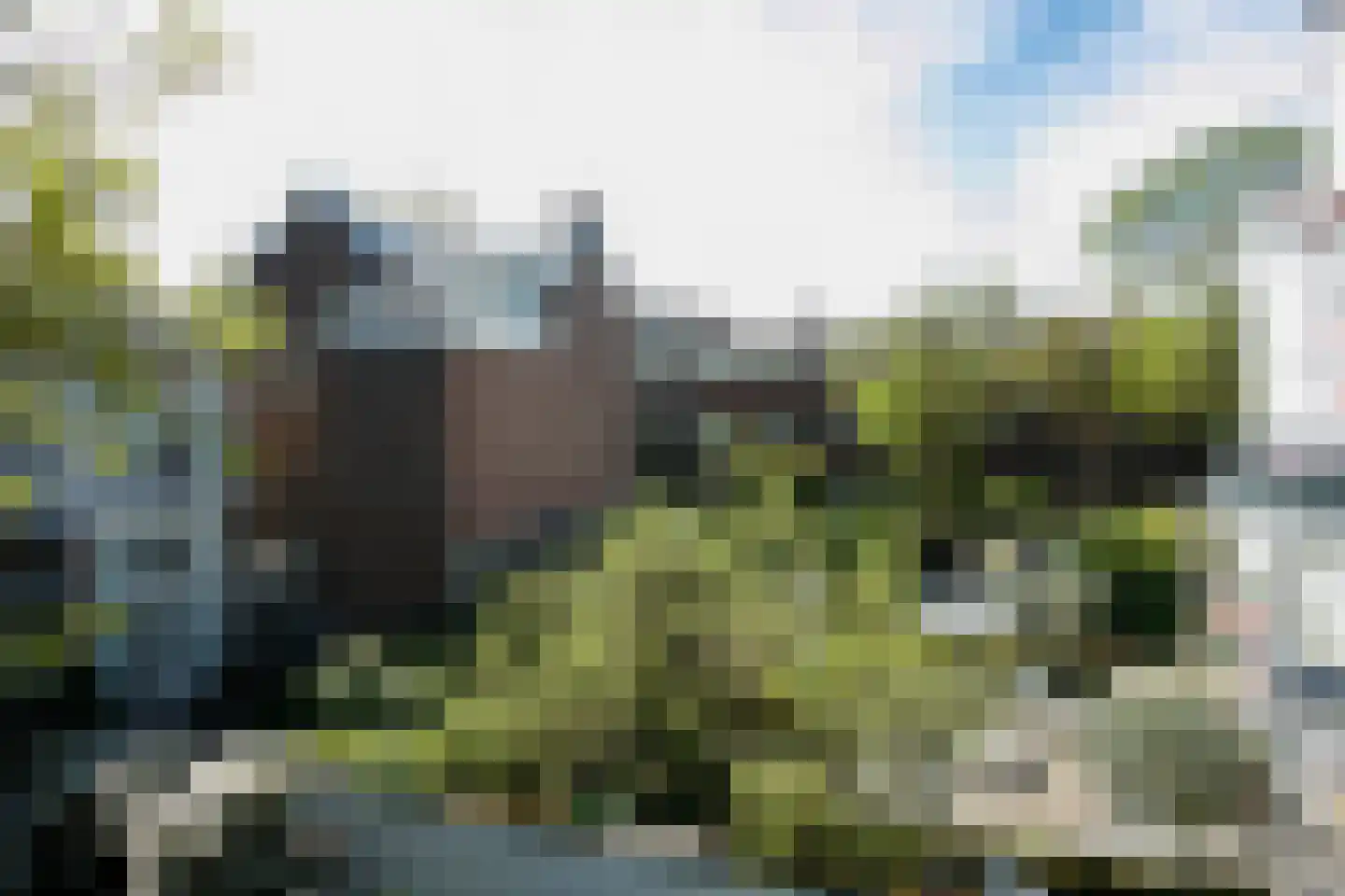 Badhuisweg 245 Den Haag thumbnail 13