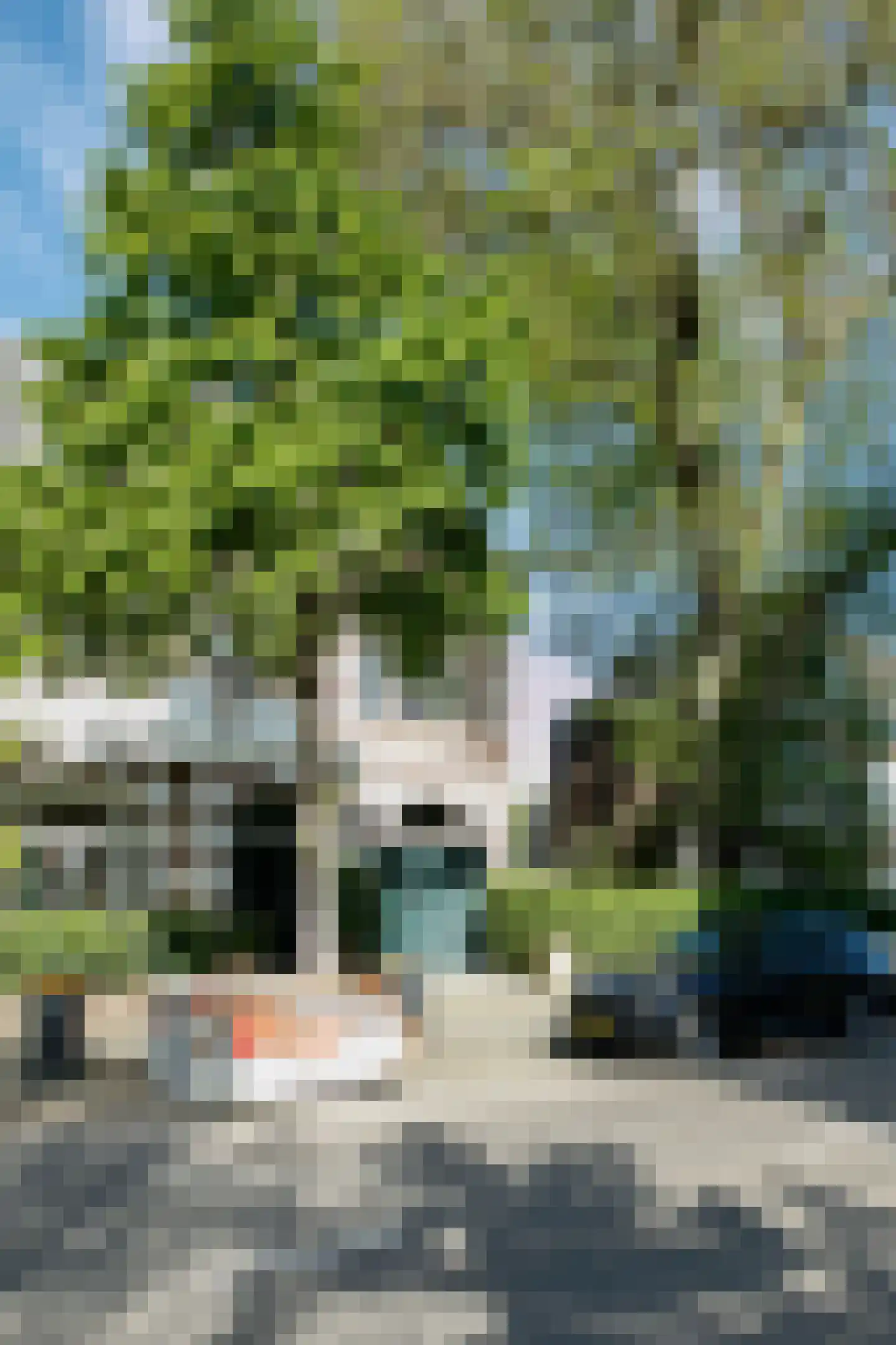 Badhuisweg 245 Den Haag thumbnail 5