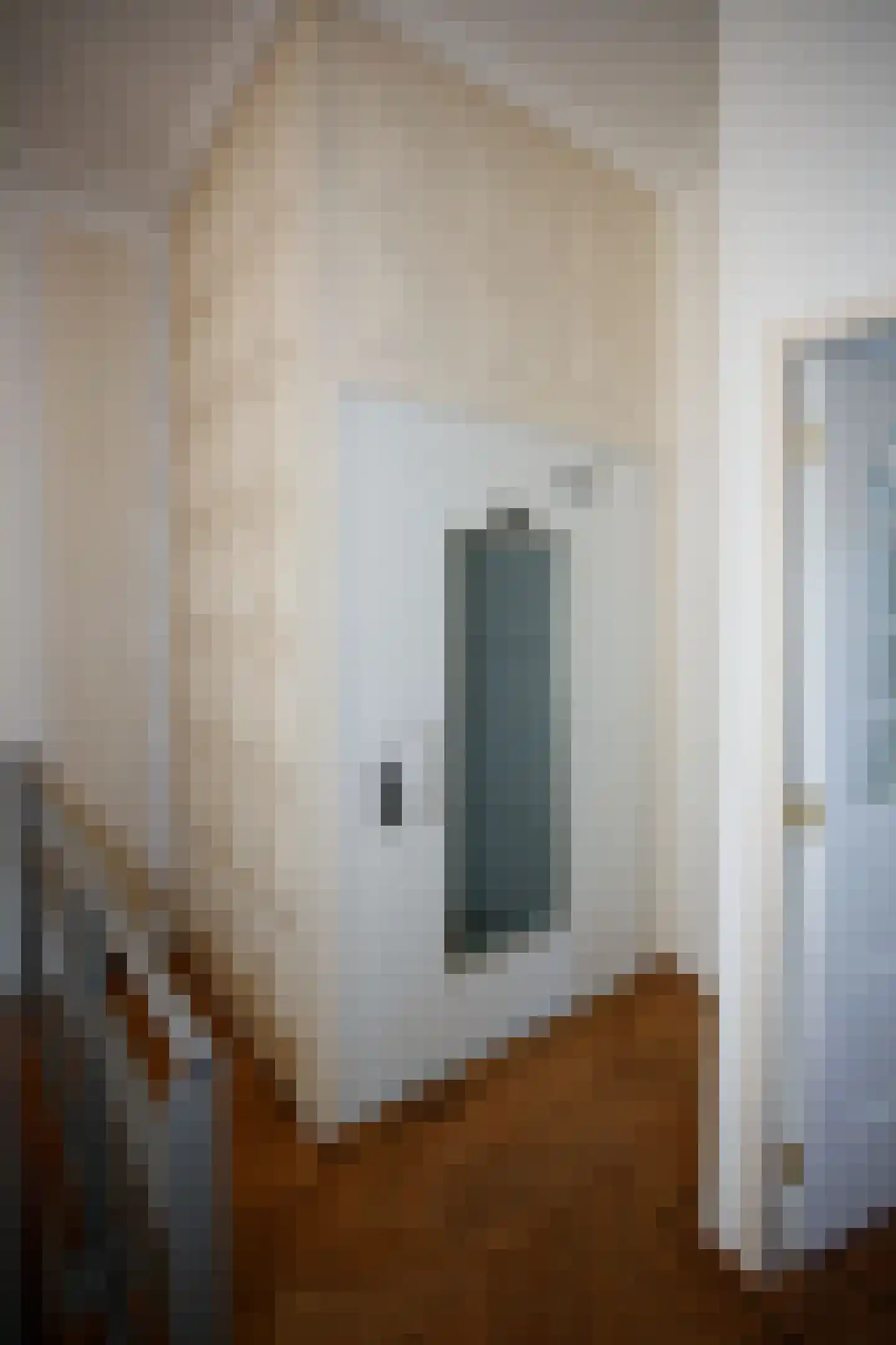 Badhuisweg 245 Den Haag thumbnail 72