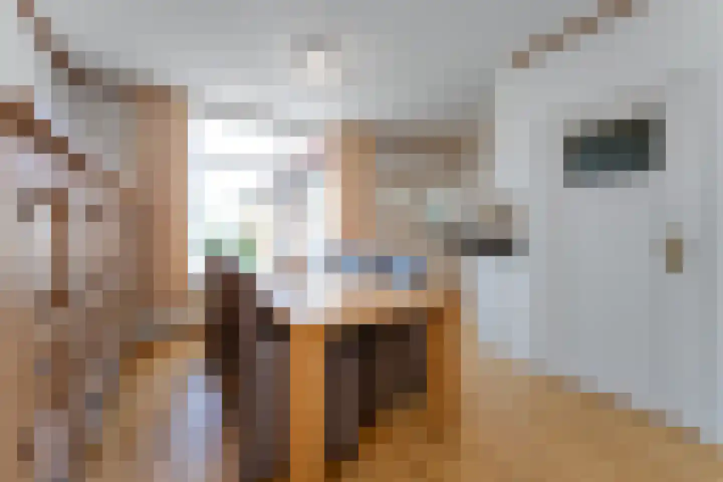 Badhuisweg 25 Cadzand thumbnail 11