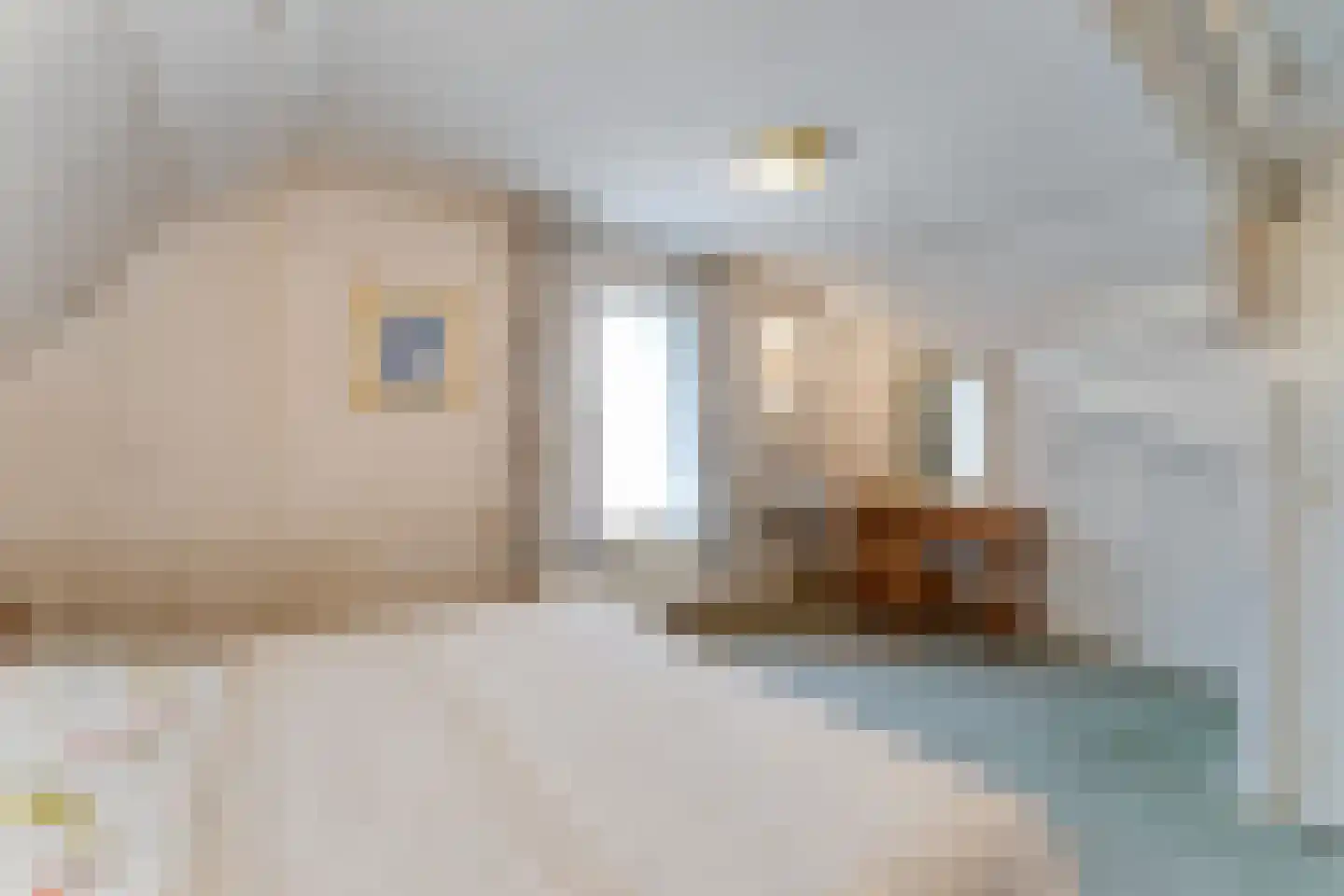 Badhuisweg 25 Cadzand thumbnail 21