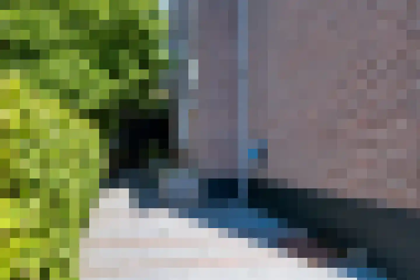 Badhuisweg 28 Apeldoorn thumbnail 54