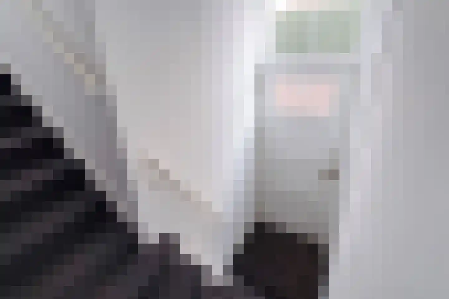 Badhuisweg 3 A Den Haag thumbnail 12
