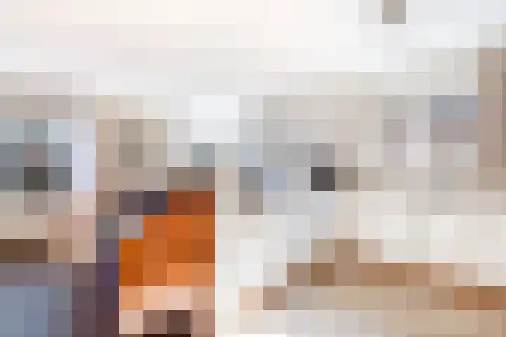 Badhuisweg 3 Ermelo thumbnail 23