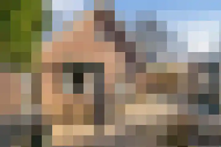Badhuisweg 3 Ermelo thumbnail 28