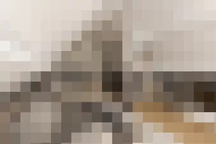 Badhuisweg 3 Ermelo thumbnail 47