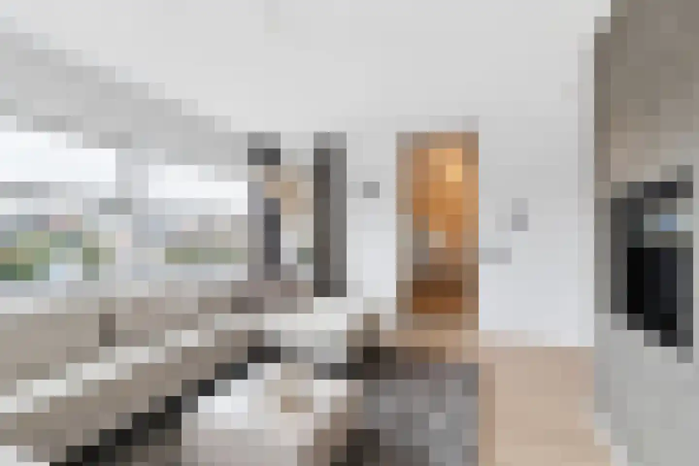 Badhuisweg 39 B Boskoop thumbnail 10