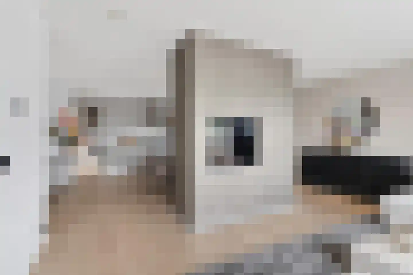 Badhuisweg 39 B Boskoop thumbnail 11