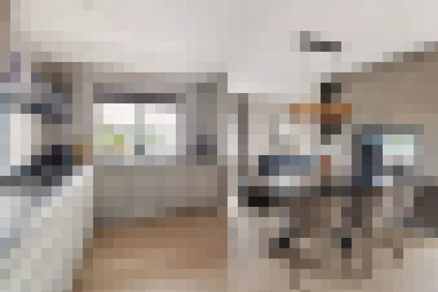 Badhuisweg 39 B Boskoop thumbnail 16