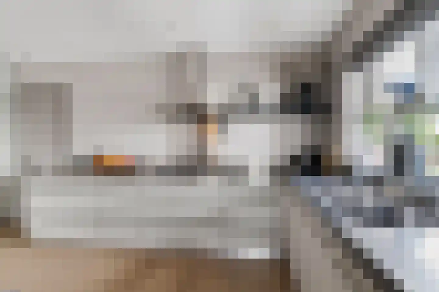 Badhuisweg 39 B Boskoop thumbnail 17