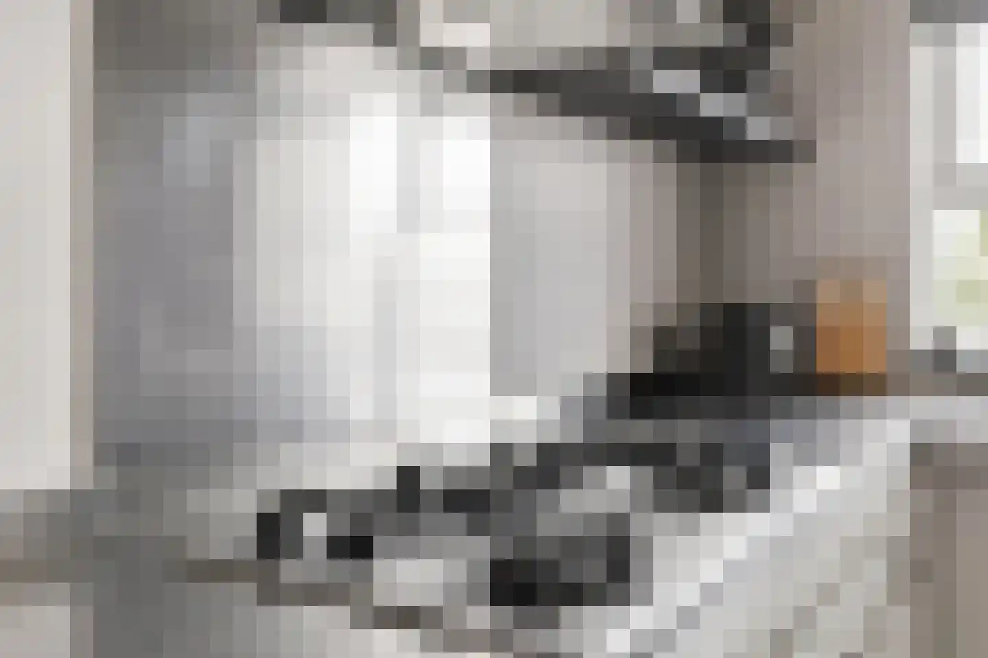 Badhuisweg 39 B Boskoop thumbnail 18
