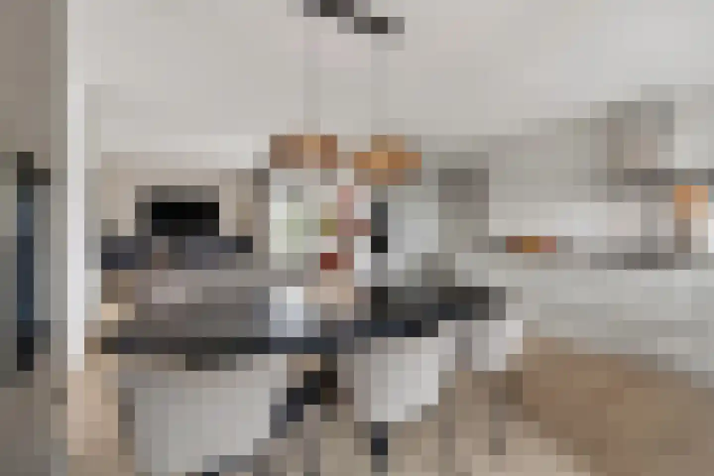 Badhuisweg 39 B Boskoop thumbnail 19