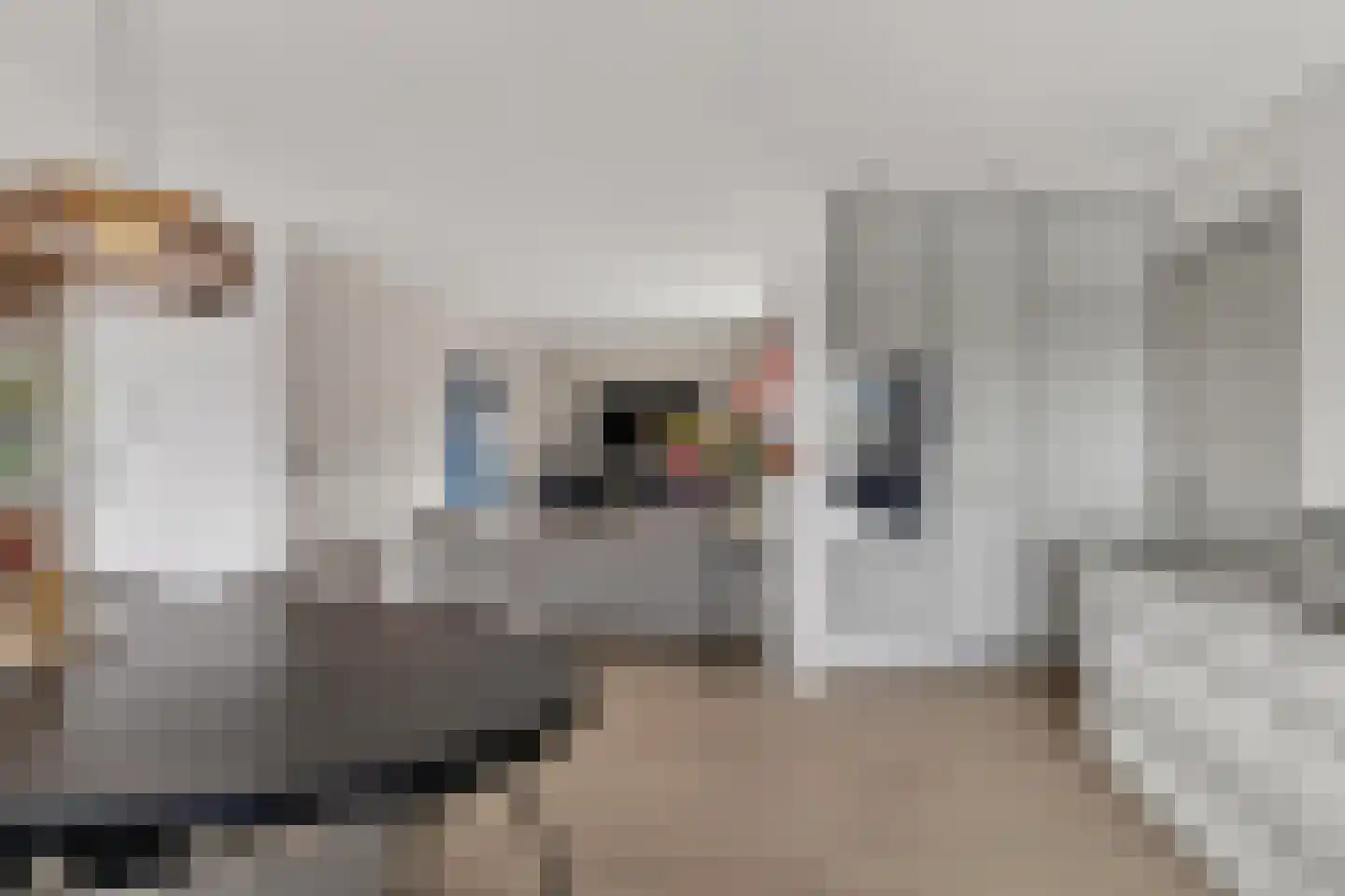 Badhuisweg 39 B Boskoop thumbnail 20