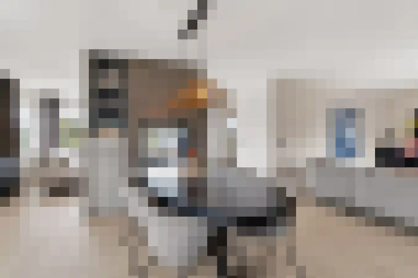 Badhuisweg 39 B Boskoop thumbnail 21