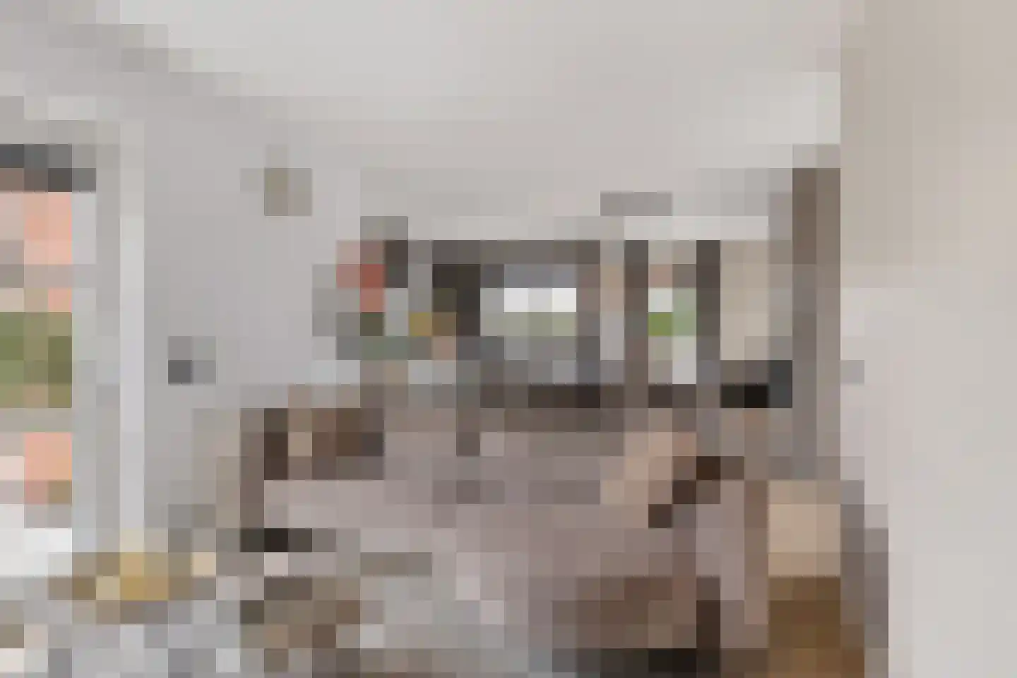 Badhuisweg 39 B Boskoop thumbnail 23
