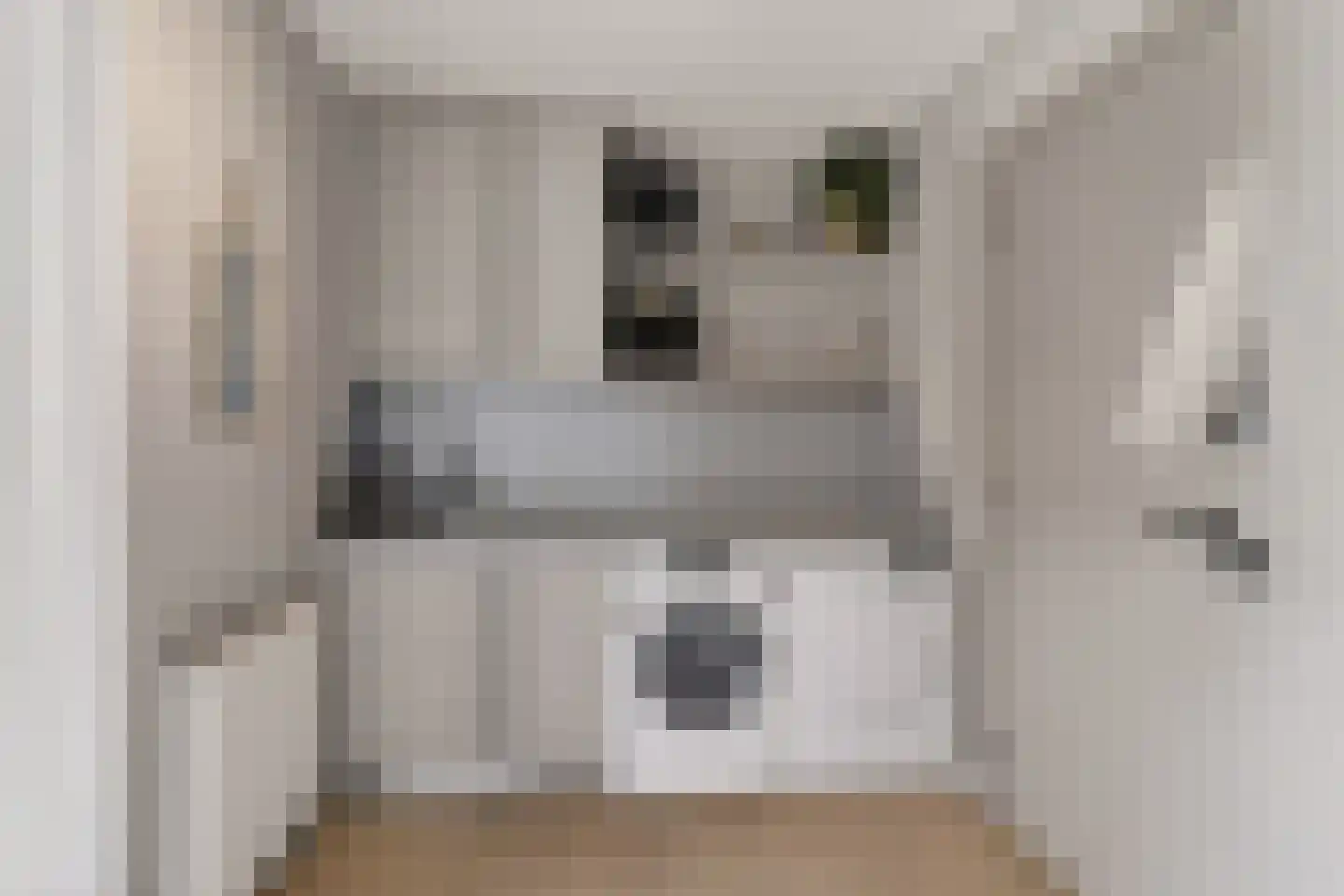 Badhuisweg 39 B Boskoop thumbnail 25