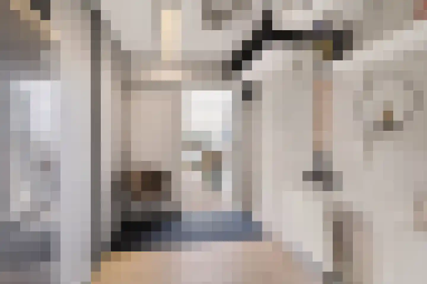 Badhuisweg 39 B Boskoop thumbnail 28
