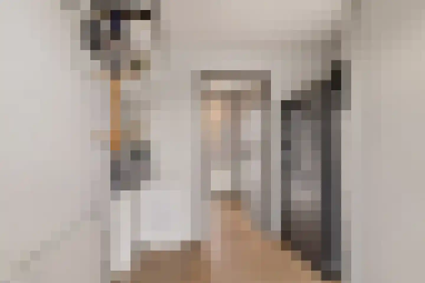 Badhuisweg 39 B Boskoop thumbnail 29