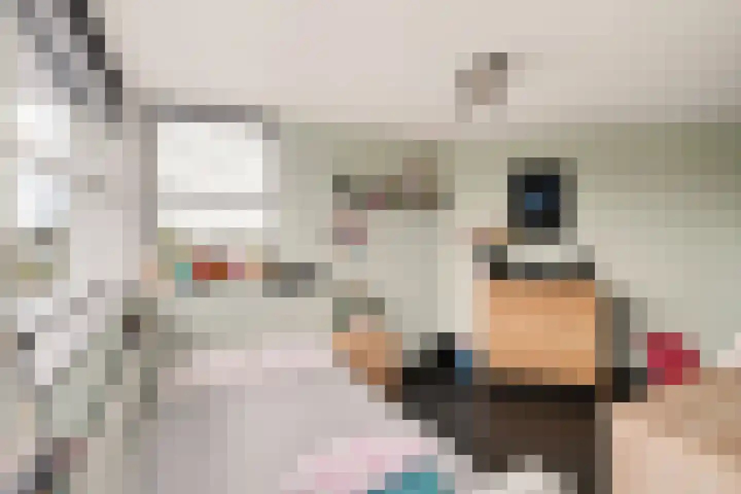 Badhuisweg 39 B Boskoop thumbnail 36