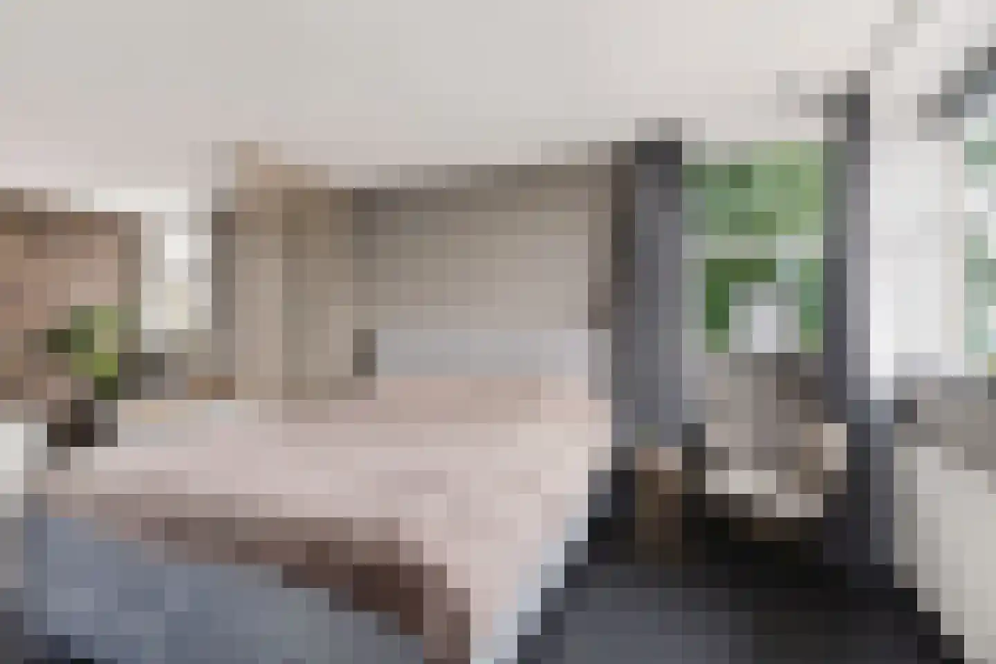 Badhuisweg 39 B Boskoop thumbnail 40