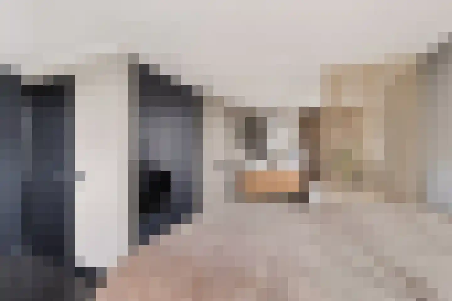 Badhuisweg 39 B Boskoop thumbnail 41