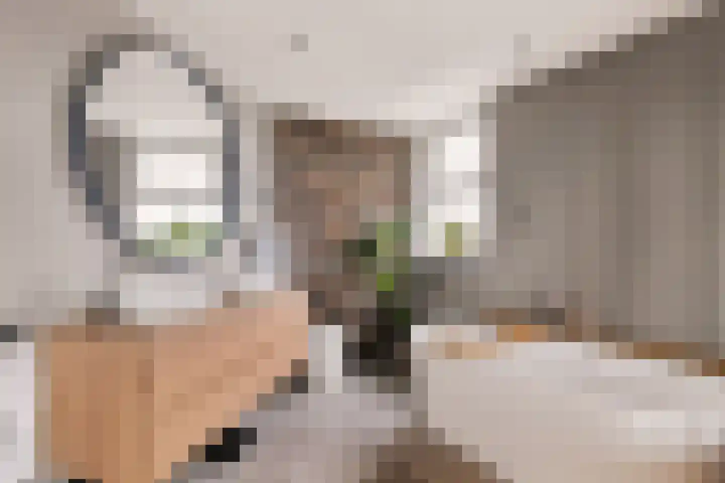 Badhuisweg 39 B Boskoop thumbnail 42