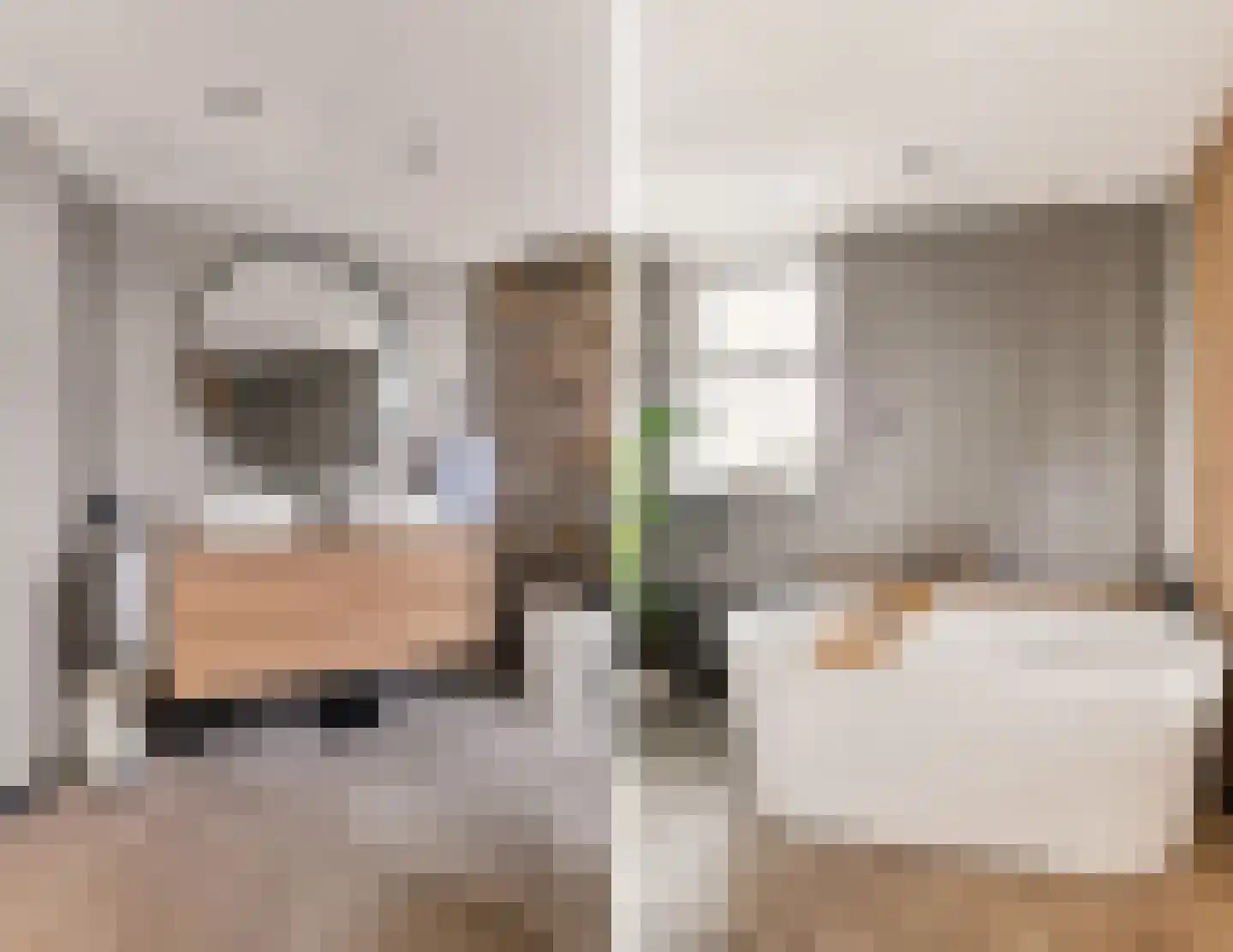 Badhuisweg 39 B Boskoop thumbnail 43
