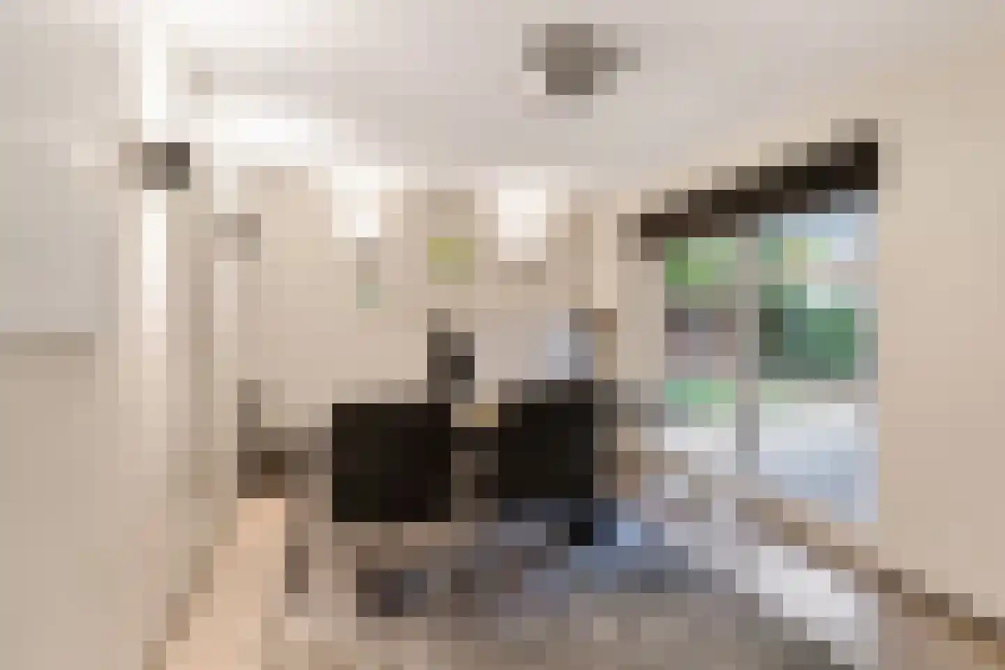 Badhuisweg 39 B Boskoop thumbnail 51