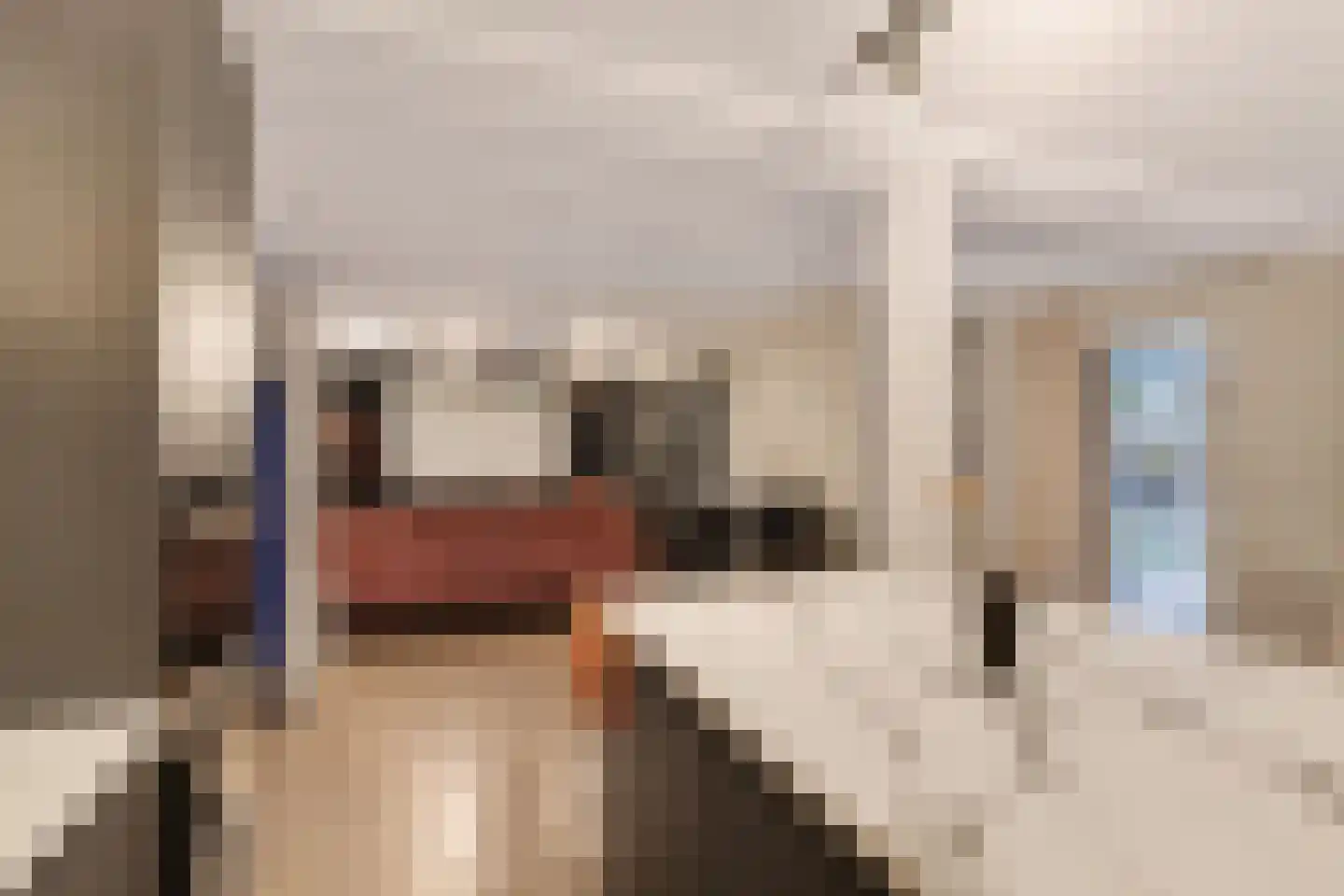 Badhuisweg 39 B Boskoop thumbnail 58