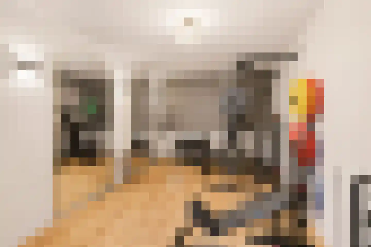 Badhuisweg 39 B Boskoop thumbnail 60