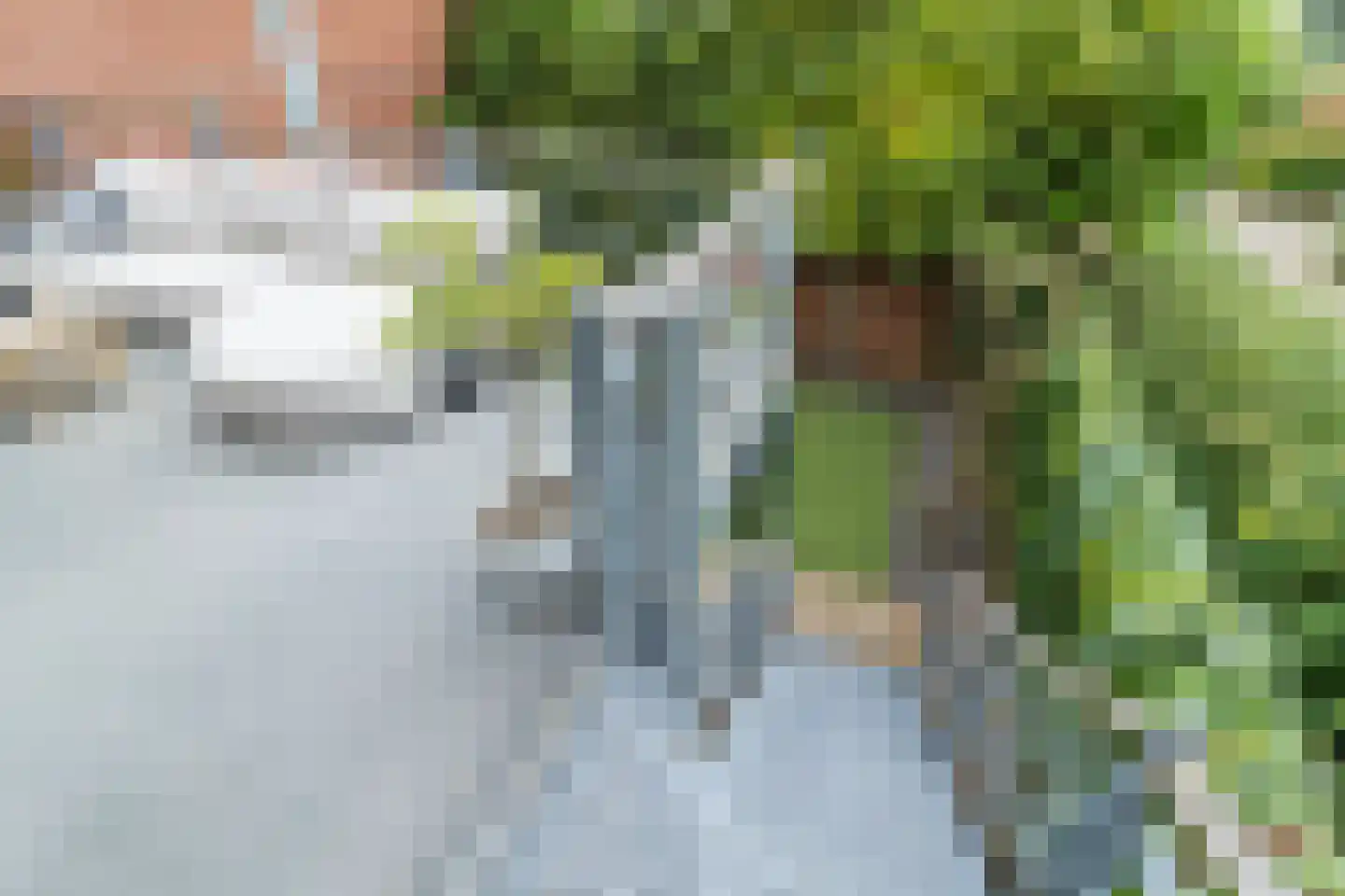 Badhuisweg 39 B Boskoop thumbnail 66