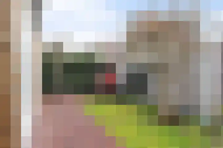 Badhuisweg 46 Apeldoorn thumbnail 25