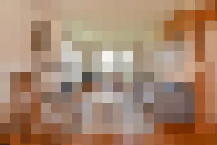 Badhuisweg 5 Exloo thumbnail 17