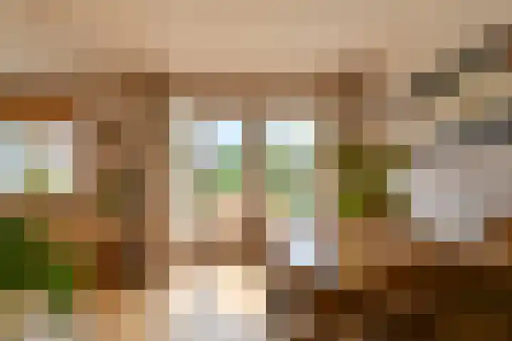 Badhuisweg 5 Exloo thumbnail 19