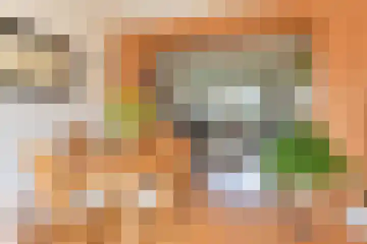 Badhuisweg 5 Exloo thumbnail 21