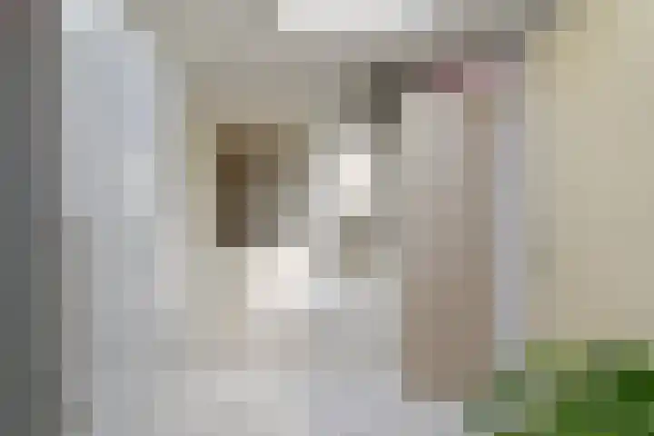 Badhuisweg 5 Exloo thumbnail 30