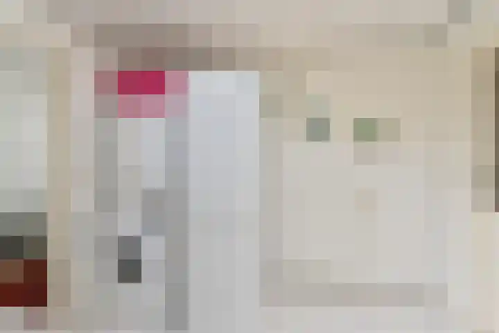 Badhuisweg 5 Exloo thumbnail 31