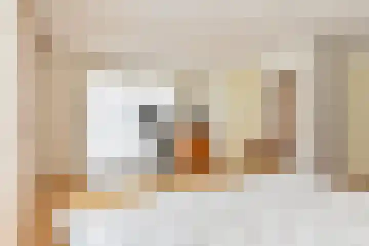Badhuisweg 5 Exloo thumbnail 41