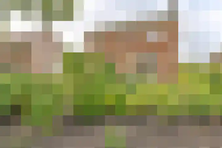 Badhuisweg 5 Exloo thumbnail 5