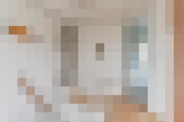 Badhuisweg 5 Exloo thumbnail 57
