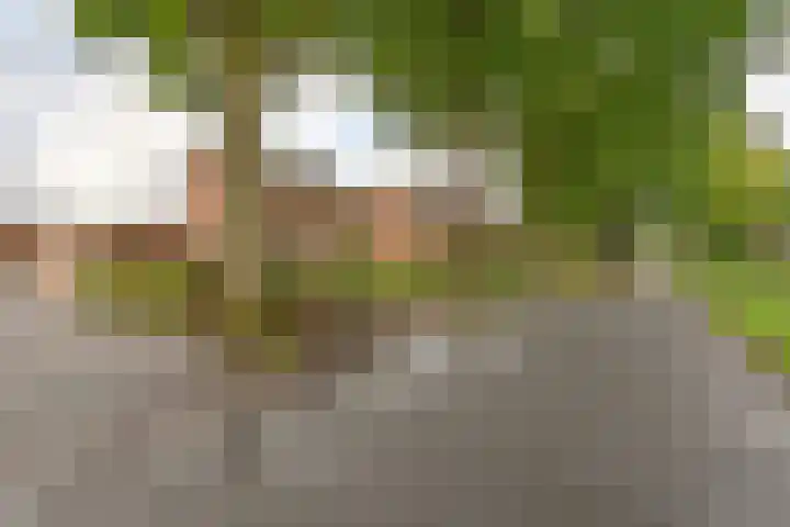 Badhuisweg 5 Exloo thumbnail 6