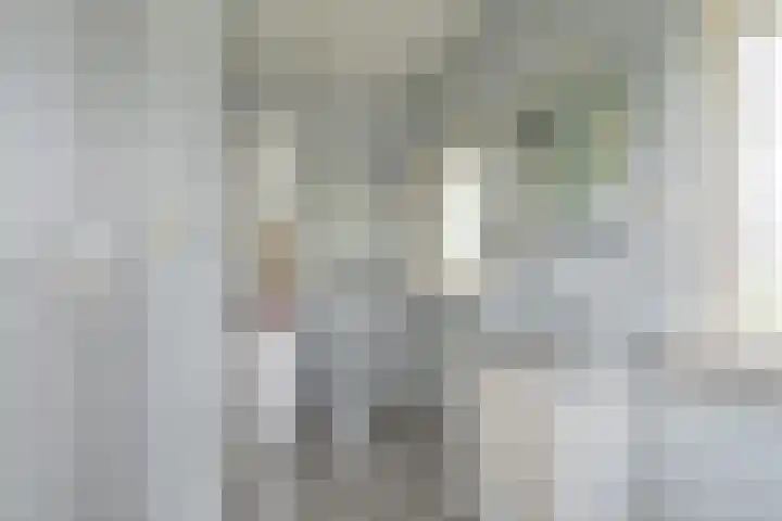 Badhuisweg 5 Exloo thumbnail 61
