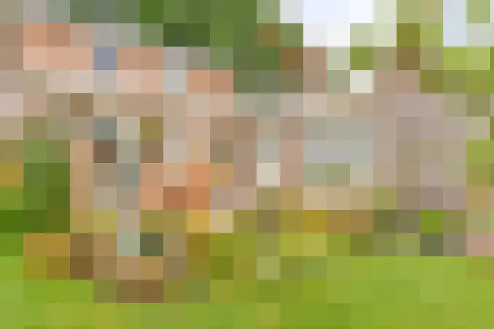 Badhuisweg 5 Exloo thumbnail 62