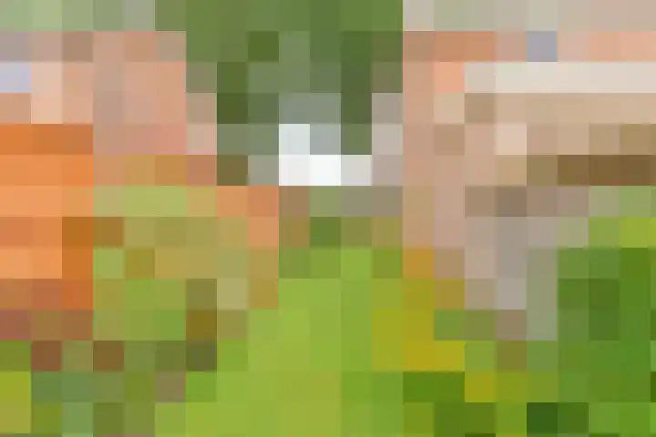 Badhuisweg 5 Exloo thumbnail 63