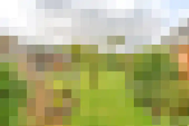 Badhuisweg 5 Exloo thumbnail 65