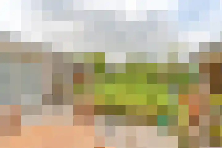 Badhuisweg 5 Exloo thumbnail 66