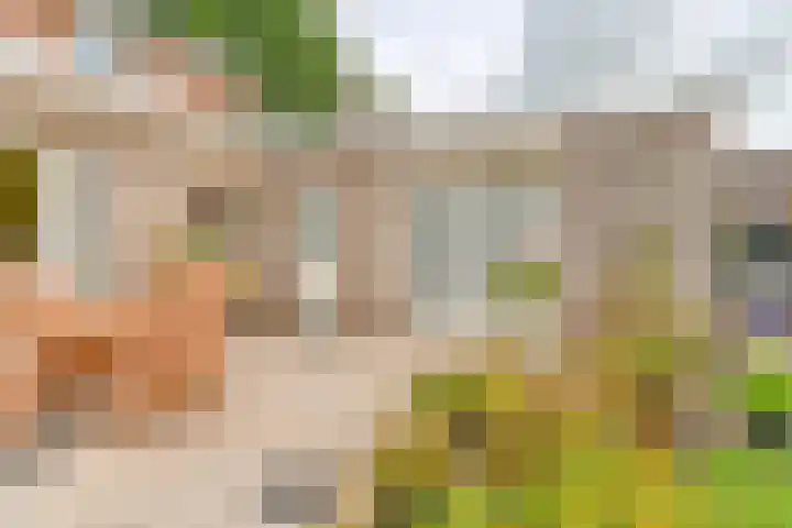 Badhuisweg 5 Exloo thumbnail 67