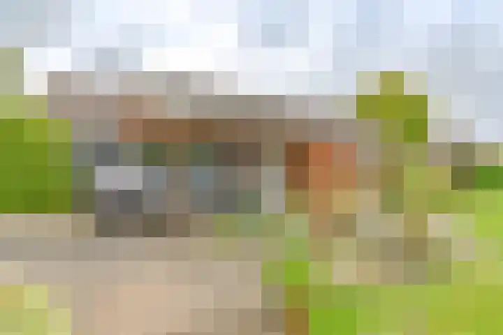 Badhuisweg 5 Exloo thumbnail 68