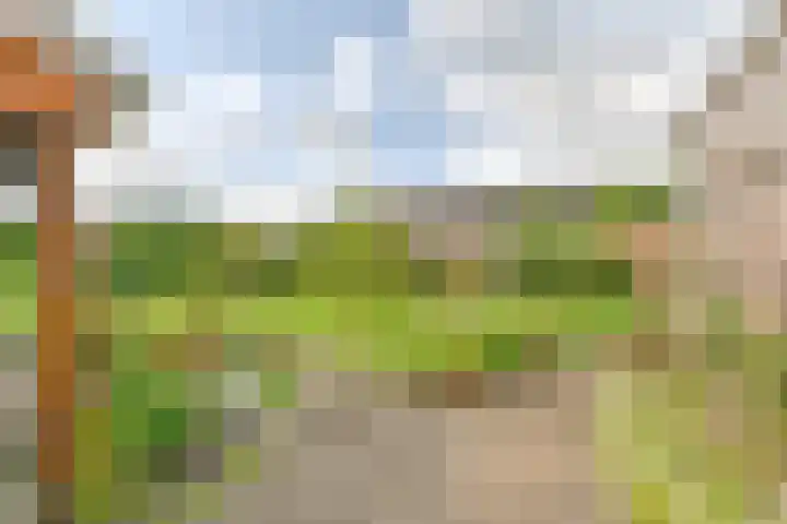 Badhuisweg 5 Exloo thumbnail 69