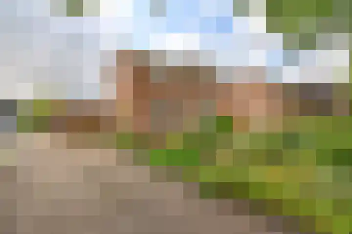 Badhuisweg 5 Exloo thumbnail 7